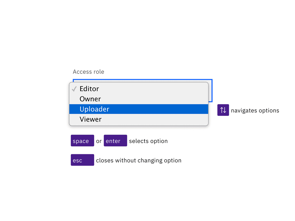 illustration showing an open select with the focus on the Previewer option while the Editor option is already selected